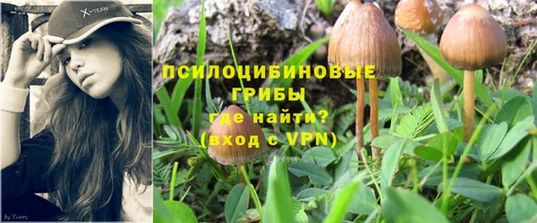 марки nbome Баксан