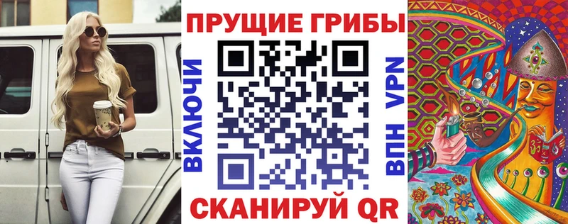 Псилоцибиновые грибы Cubensis  блэк спрут как зайти  Сольцы 